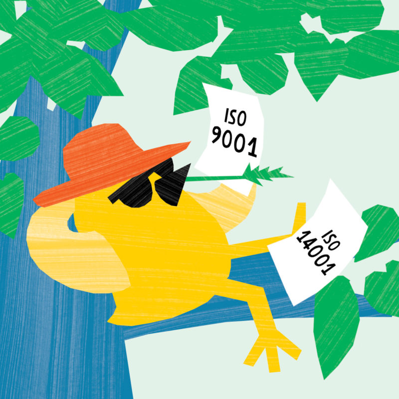 ISO 14001 & ISO 9001, single use plastic